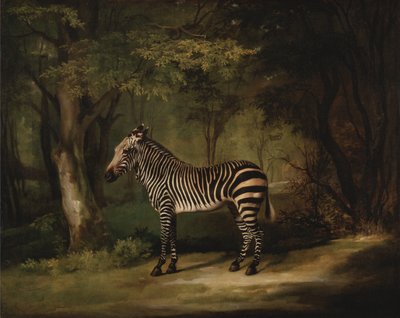 Zebra af George Stubbs