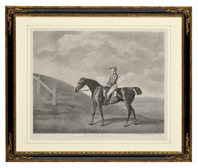Græskar (stiftgravering) af George Townley Stubbs