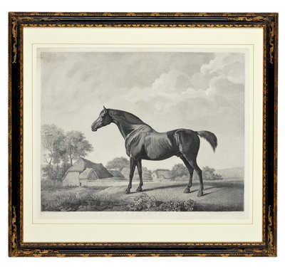 Sweetbrier (stiftgravering) af George Townley Stubbs