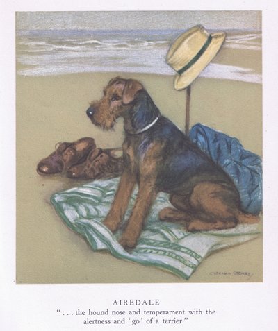 Airedale (farvelitografi) af George Vernon Stokes