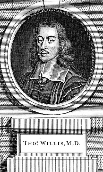 Thomas Willis, engelsk læge fra det 17. århundrede, 1742 af George Vertue