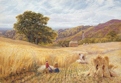 Høsttid nær Holmbury Hill, Surrey, 1865 (wc & kropsfarve på papir) af George Vicat Cole