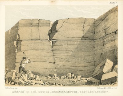 Stenbrud i Oolite, Minchinhampton, Gloucestershire (koloreret stik) af George Victor Du Noyer