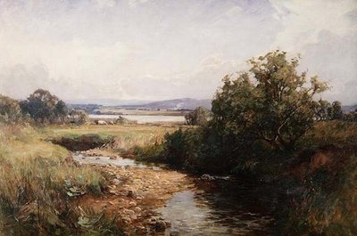 En skotsk Burnside af George Whitton Johnstone