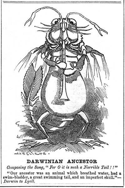 Darwinsk forfader, 1887 af George du Maurier