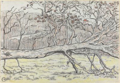 Fældet træ, Normandiet af Georges Lacombe