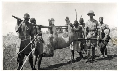 Løve ved Bahr el Ghazal, Am Dafok, 1925 (gelatinesølvtryk) af Georges Marie Haardt