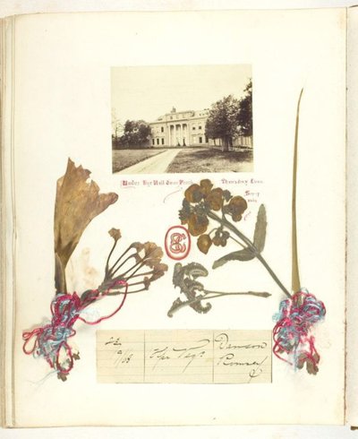 Uden titel af Georgina Cowper