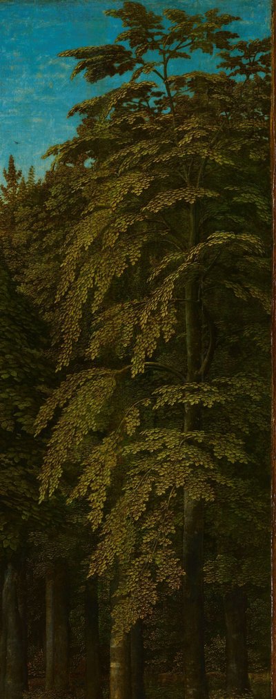 Udsigt i en skov, yderste højre fløj af en triptykon af Gerard David