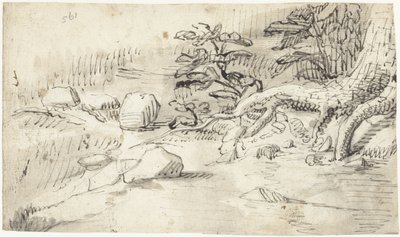 Undersøgelse af rødderne af et træ nær et vandløb af Gerard ter Borch (I)