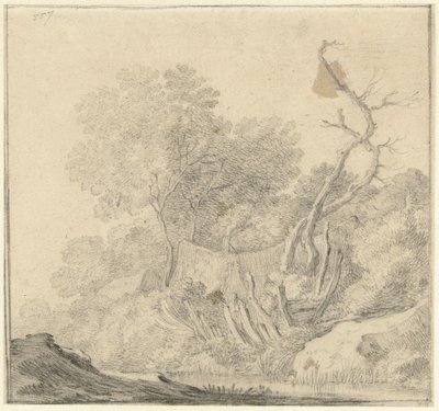 Huse mellem træer nær vand af Gerard ter Borch (II) (possibly)