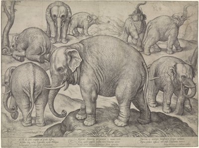 Otte elefanter af Gerard van Groeningen