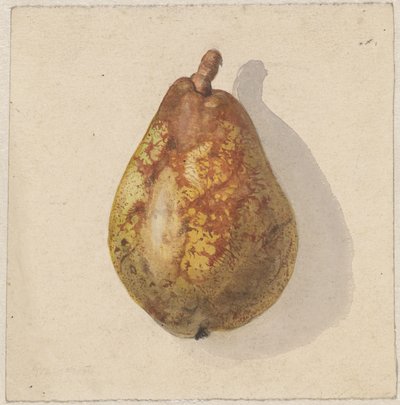 Peer af Gerardina Jacoba van de Sande Bakhuyzen