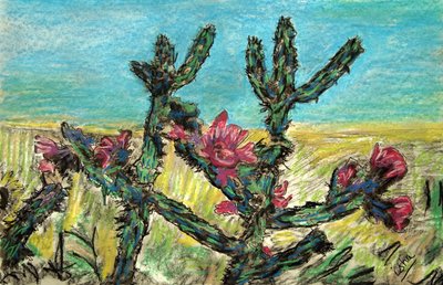 Cholla in Bloom, 2017 (tegning på papir) af Gerhardt Isringhaus