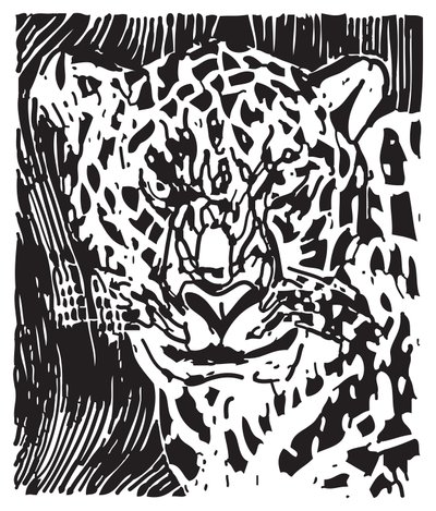 Leopard af Gerhardt Isringhaus