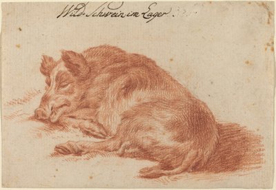 Vildsvin af German 18th Century