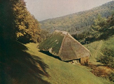 Traditionelt bondehus i Schwarzwald, Wildtal, Tyskland (farvefoto) af German Photographer