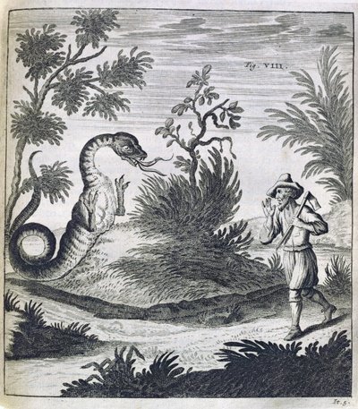 En frygtsom drage, ca. 1660 af German School