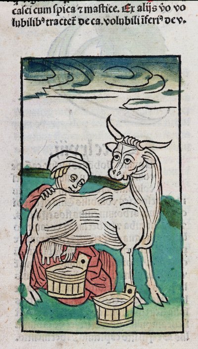A Maid Milking a Cow, 1491 (farvet træsnit) af German School