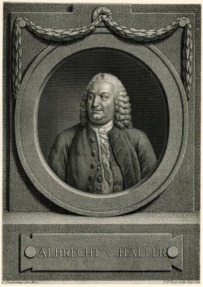 Albert von Haller af German School