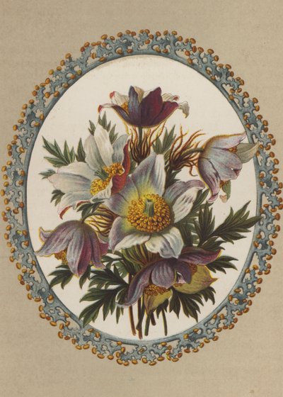 Anemoner (chromolit) af German School
