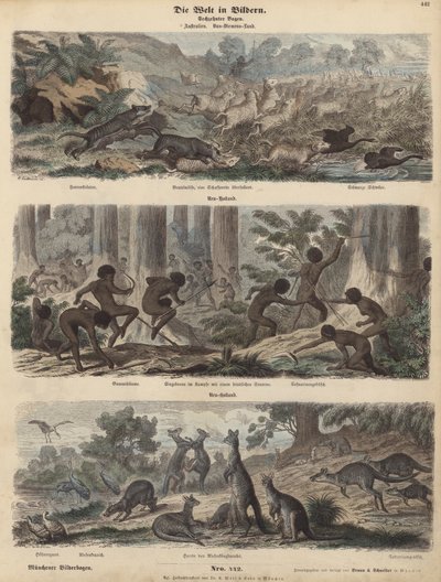 Australien (farvet gravering) af German School