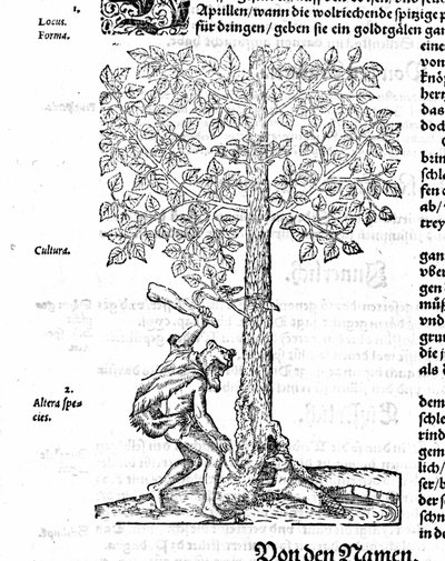Beaver Hunt - i ""De race"" af Hieronymus Bock. 1572 af German School