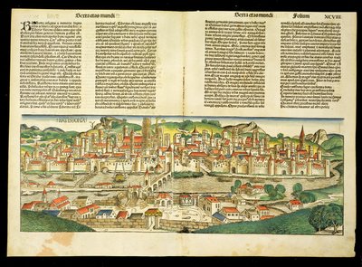 Birds Eye View af Ratisbon, fra Nürnberg Chronicle af Hartmann Schedel (1440-1514) 1493 af German School