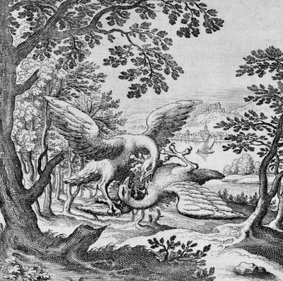 Fugle, der kæmper fra Musaeum Hermeticum af German School
