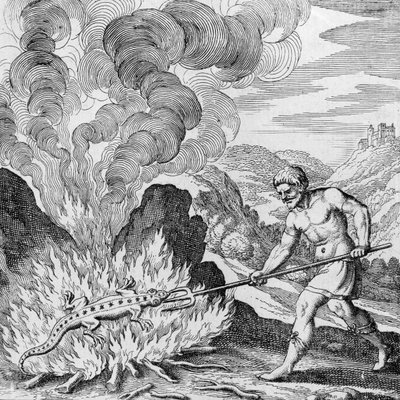 Afbrænding af en salamander fra Musaeum Hermeticum af German School