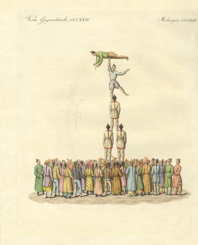 Kinesisk bateleus (farvet gravering) af German School