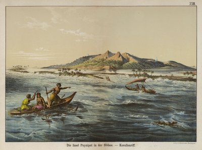 Koralrev ud for Puynipet Island (Pohnpei), Caroline Islands (farvefoto) af German School