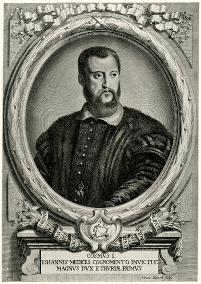 Cosimo I. af German School