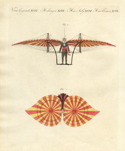 Degens flyvemaskine (farvet gravering) af German School