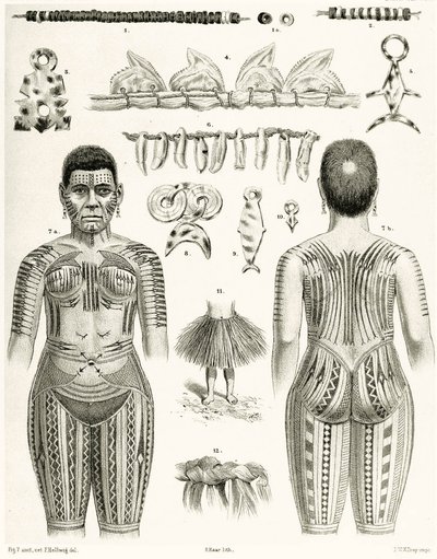 Diagram, der viser polynesiske smykker, ornamenter og tatoveringsdesign, 1888 af German School