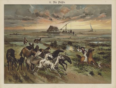 Die Pukta (farve litho) af German School