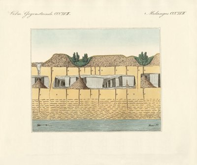 Jordrør (farvet gravering) af German School