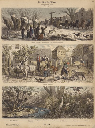 Europa (farvet gravering) af German School