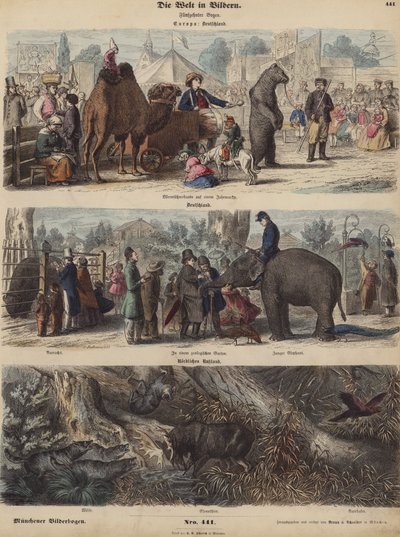 Europa (farvet gravering) af German School