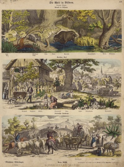Europa: skov i Litauen; tysk landsby; Italiensk landevej (farvegravering) af German School