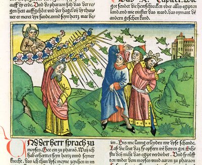 Anden Mosebog 10:1-20 Egyptens syv plager: græshoppernes plage, fra Nürnbergbibelen (Biblia Sacra Germanaica) (farvet træsnit) af German School