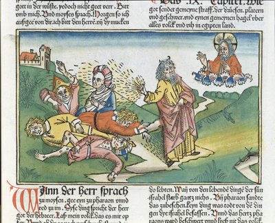 Anden Mosebog 9 8-12 Egyptens syv plager: Moses og bylder, fra Nürnbergbibelen (Biblia Sacra Germanaica) (farvet træsnit) af German School