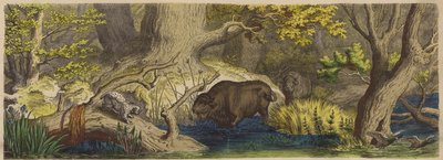 Skov i Litauen (farvet gravering) af German School