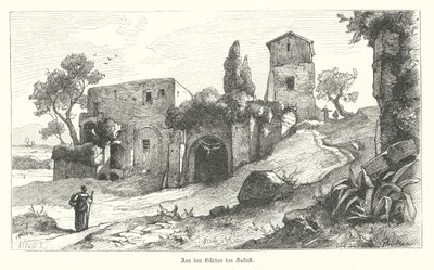 Gardens of Sallust, Rom (gravering) af German School