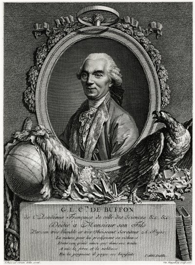 George Louis Leclerc greve af Buffon af German School