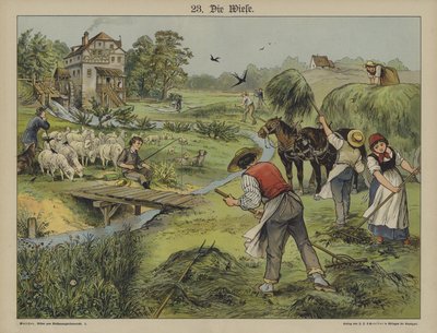 Græs (farve litho) af German School