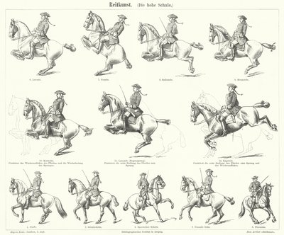 Horsemanship (gravering) af German School