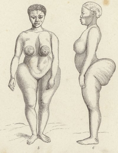 Hottentot Venus (gravering) af German School