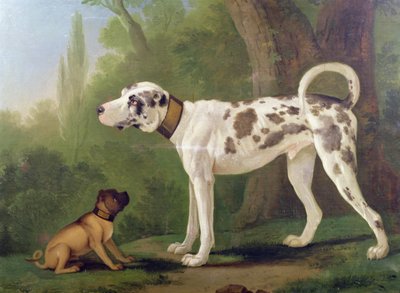 Hund og terrier af German School