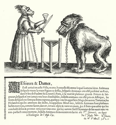 Invitation til en udstilling af aber og aber (gravering) af German School